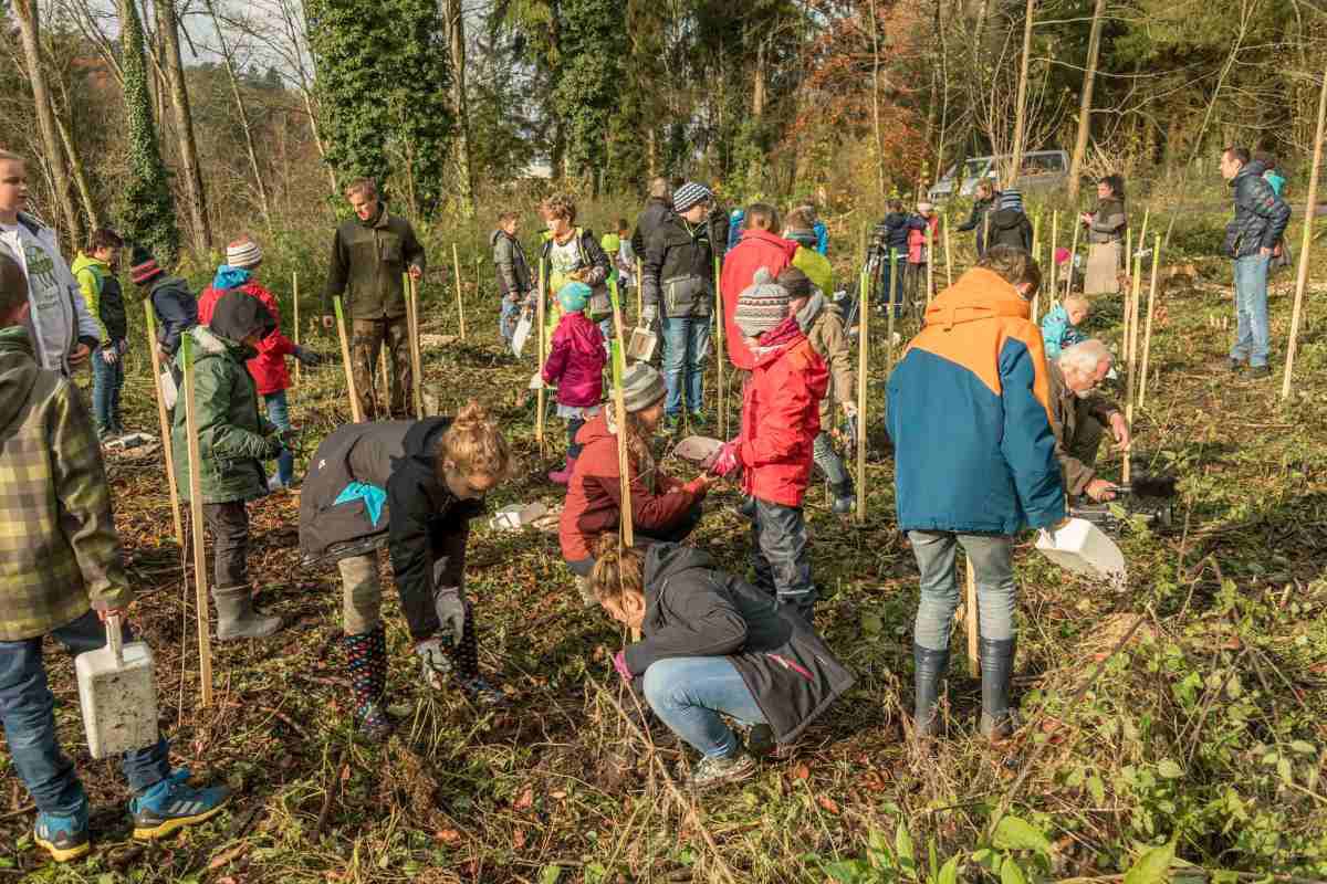 Plant for the Planet Weingarten
