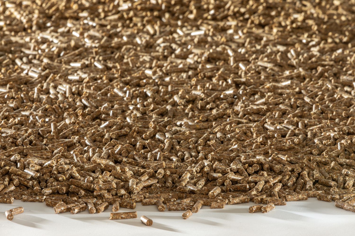 Schellinger KG Das PremiumFutter für Ihre Schafe / Schellinger KG