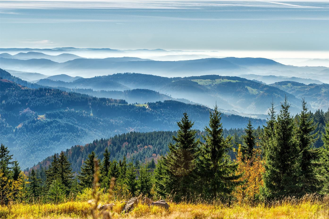 schwarzwald