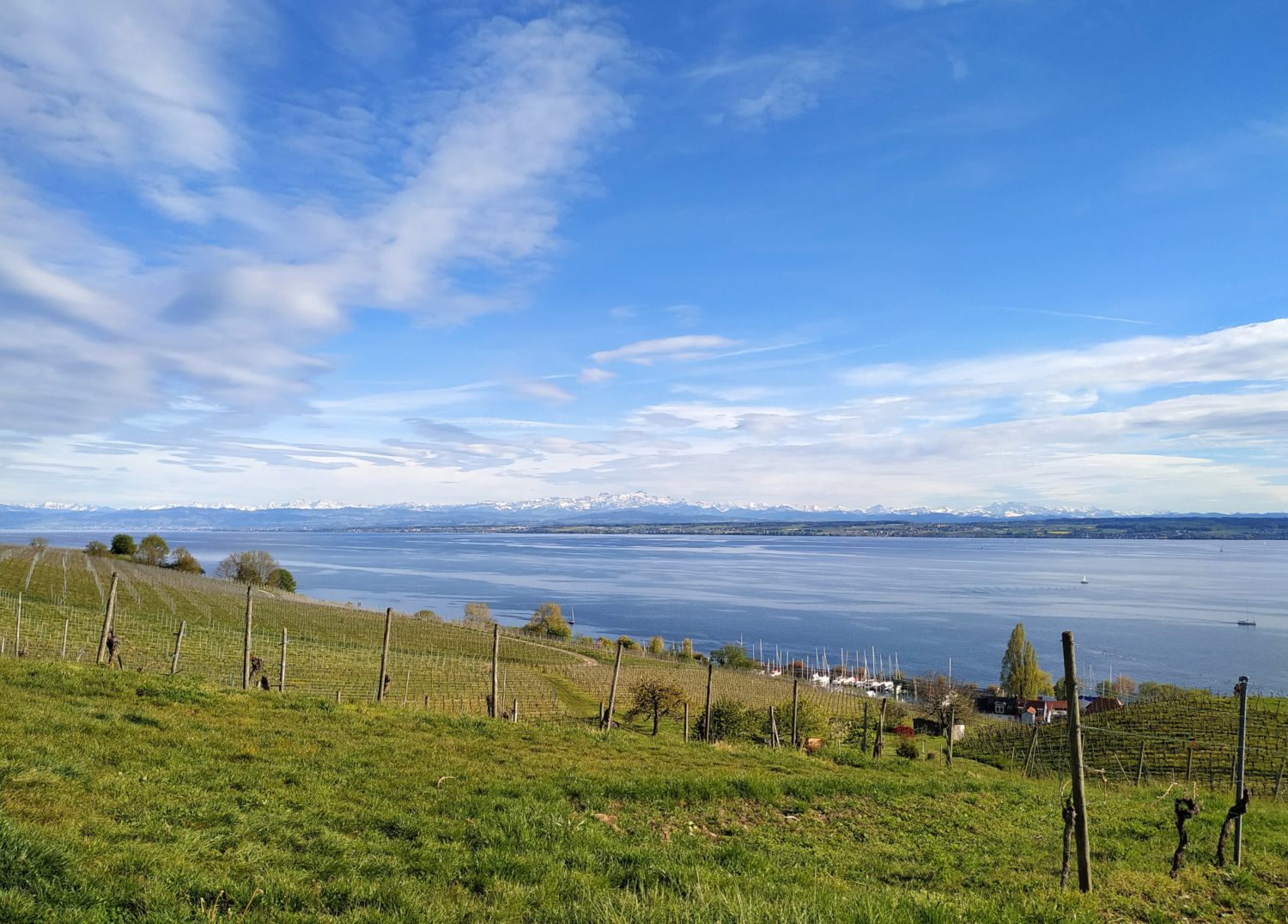 bodensee