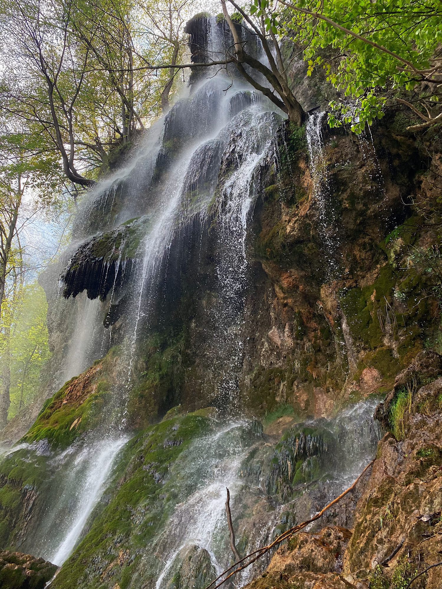 Hochschwarzwald_Headerbild