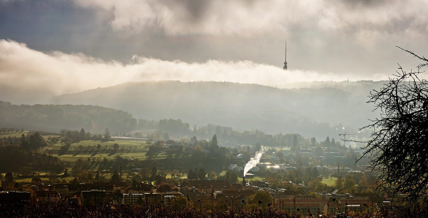 Lörrach_Schellinger_HolzPellets_Header