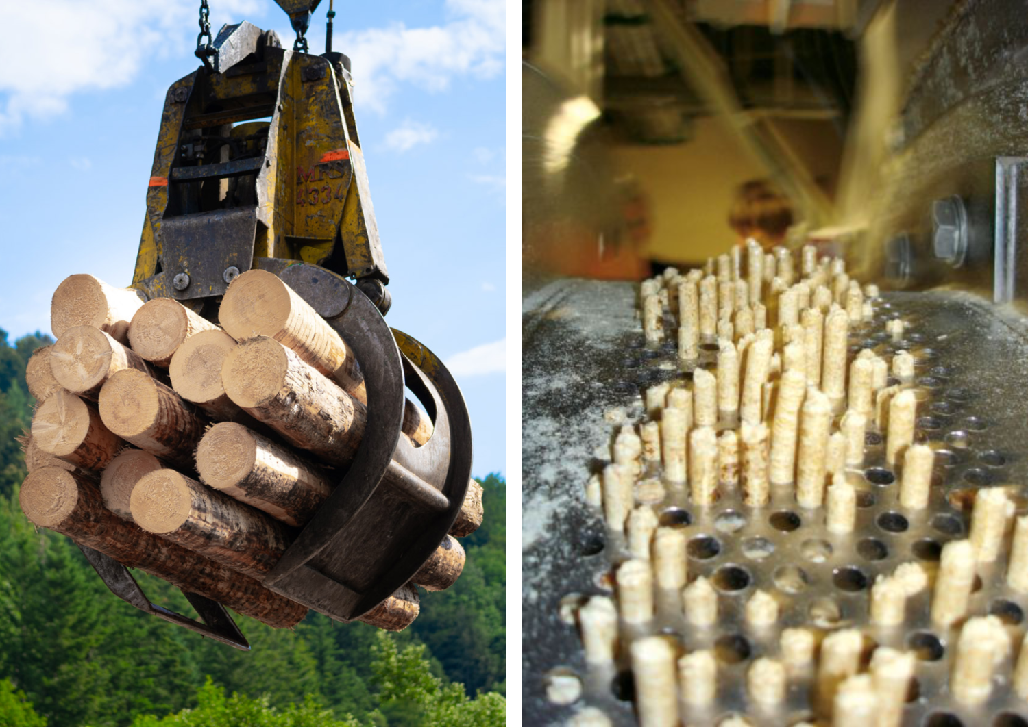Das Bild besteht aus zwei Fotos. Die linke Hälfte zeigt den mit Rundholz beladenen Greifer eines Krans auf dem Gelände der Dold Holzwerke. Die rechte Hälfte zeigt eine Matrize, durch die gerade Holzpellets gepresst werden.