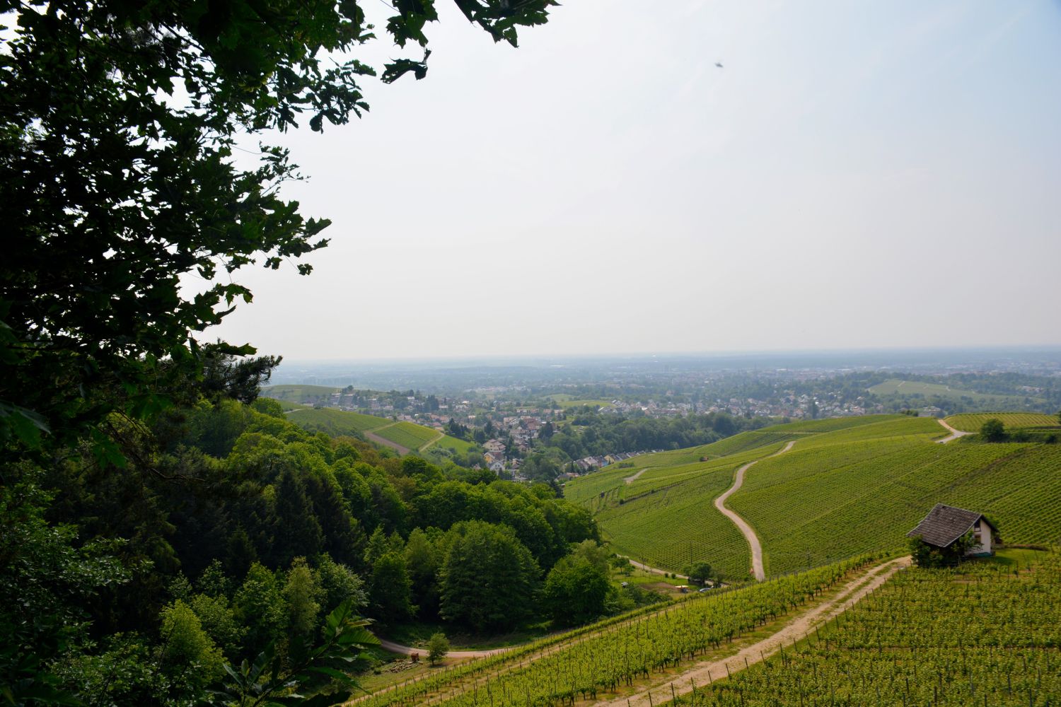 Ortenaukreis_Headerbild