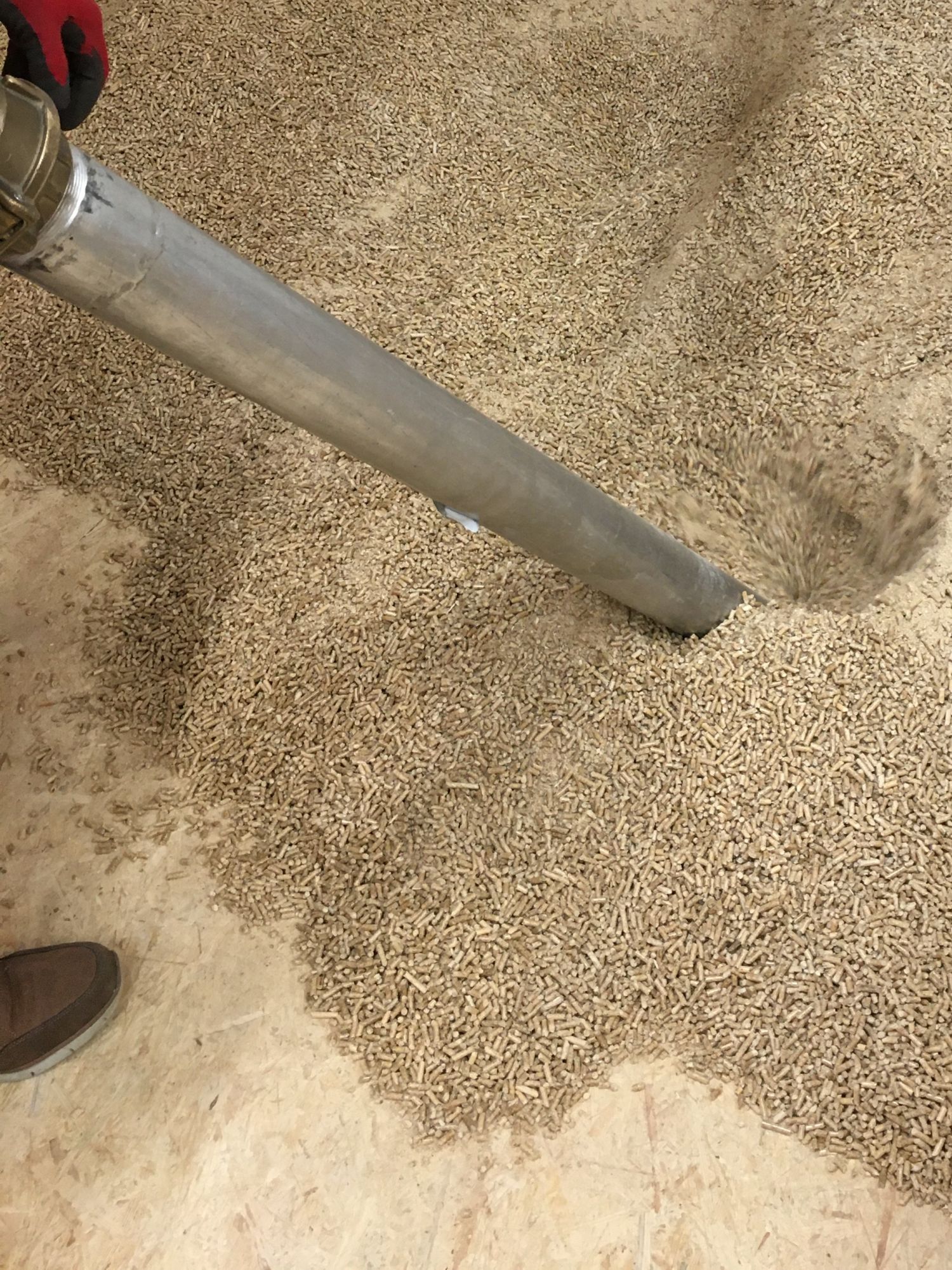 Das Bild zeigt ein nahezu leeres Pelletlager aus Spanplatten. Der letzte Rest Pellets wird gerade noch von einem Mitarbeiter der Schellinger KG abgesaugt. 