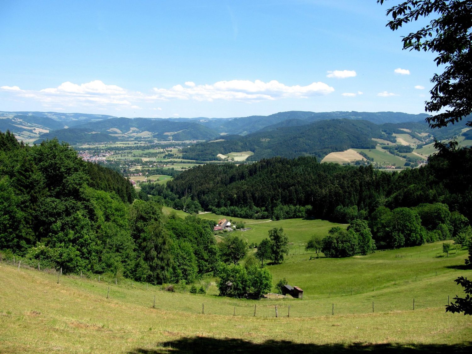 Schwarzwald Baar Kreis Headerbild