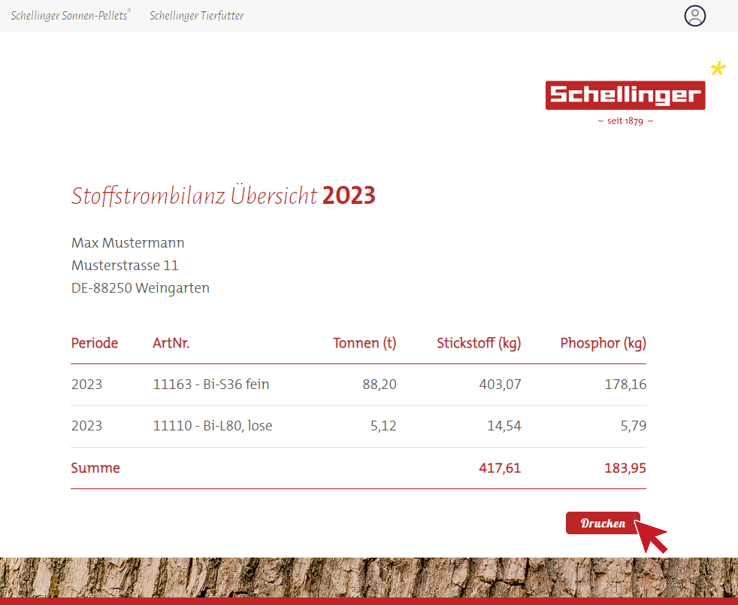 stoffstrombilanz