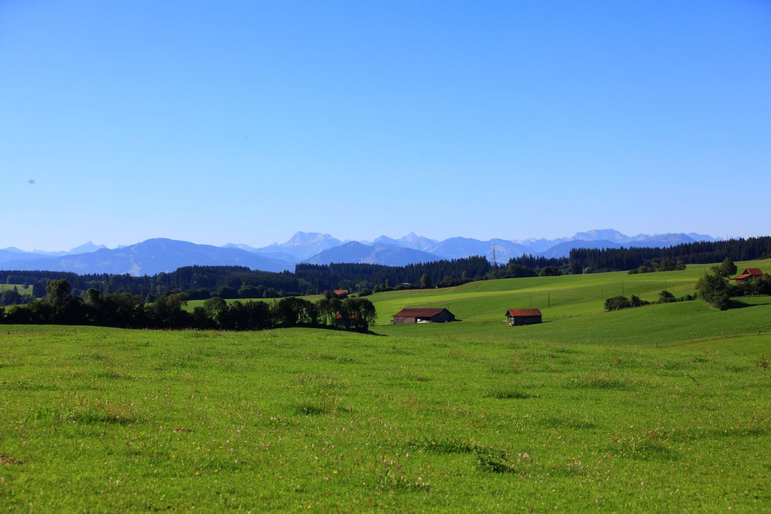 Unterallgäu
